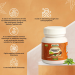 Thumbnail for Rajasthan Herbals Febrifit Capsules