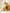 Anouk Yellow and White Ethnic Motifs Printed Pure Cotton Kurta with Trouser & Dupatta