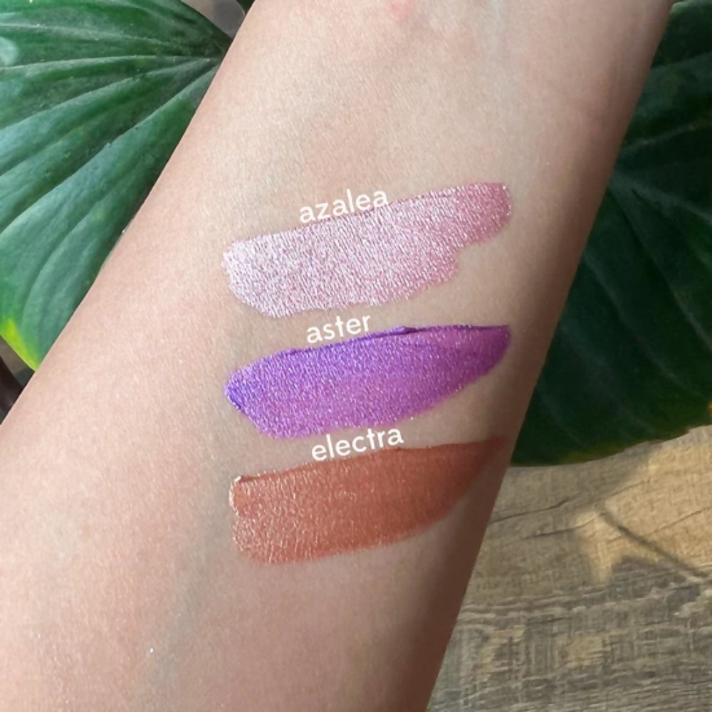 Ruby's Organics Eyeshadow Minis Pack - Earth Metals - Distacart