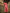 Monjolika Fashion Light Red Color Lakhnavi Organza Weaving Work Saree With Blouse
