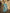 Monjolika Fashion Sky Blue Color Lakhnavi Organza Weaving Work Saree With Blouse
