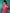 Vishudh Pink V Neck Long Sleeves Gotta Patti Kurta