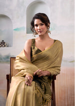Thumbnail for Anaita Beige Handloom Tissue Silk Self Woven Plain Saree - Distacart