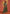 Monjolika Fashion Dark Green Color Viscose Handloom Silk Weaving Saree With Blouse