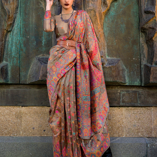 Monjolika Fashion Chikoo Color Kashmiri Organza Pashmina Silk Saree With Blouse