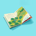Thumbnail for How the Mango got its Magic: Puffin Chapter Book, Gorgeous new full colour, illustrated chapter book for young readers from ages 5 and up