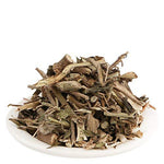 Thumbnail for Yuvika Bansa Kala - Adhatoda Vasica Nees - Malabar Nut Tree