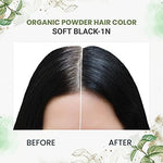 Thumbnail for byPureNaturals Organic Pure Natural Powder Hair Color - 2N Soft Black - Dista