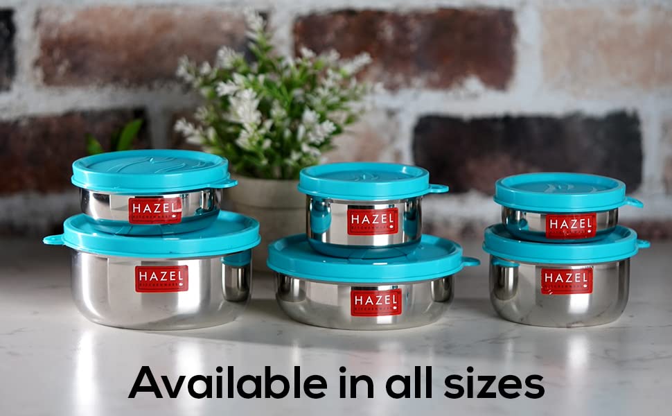 HAZEL Stainless Steel Airtight Storage Container | Leak-Proof Small Lunch Box 150 ml - Dista