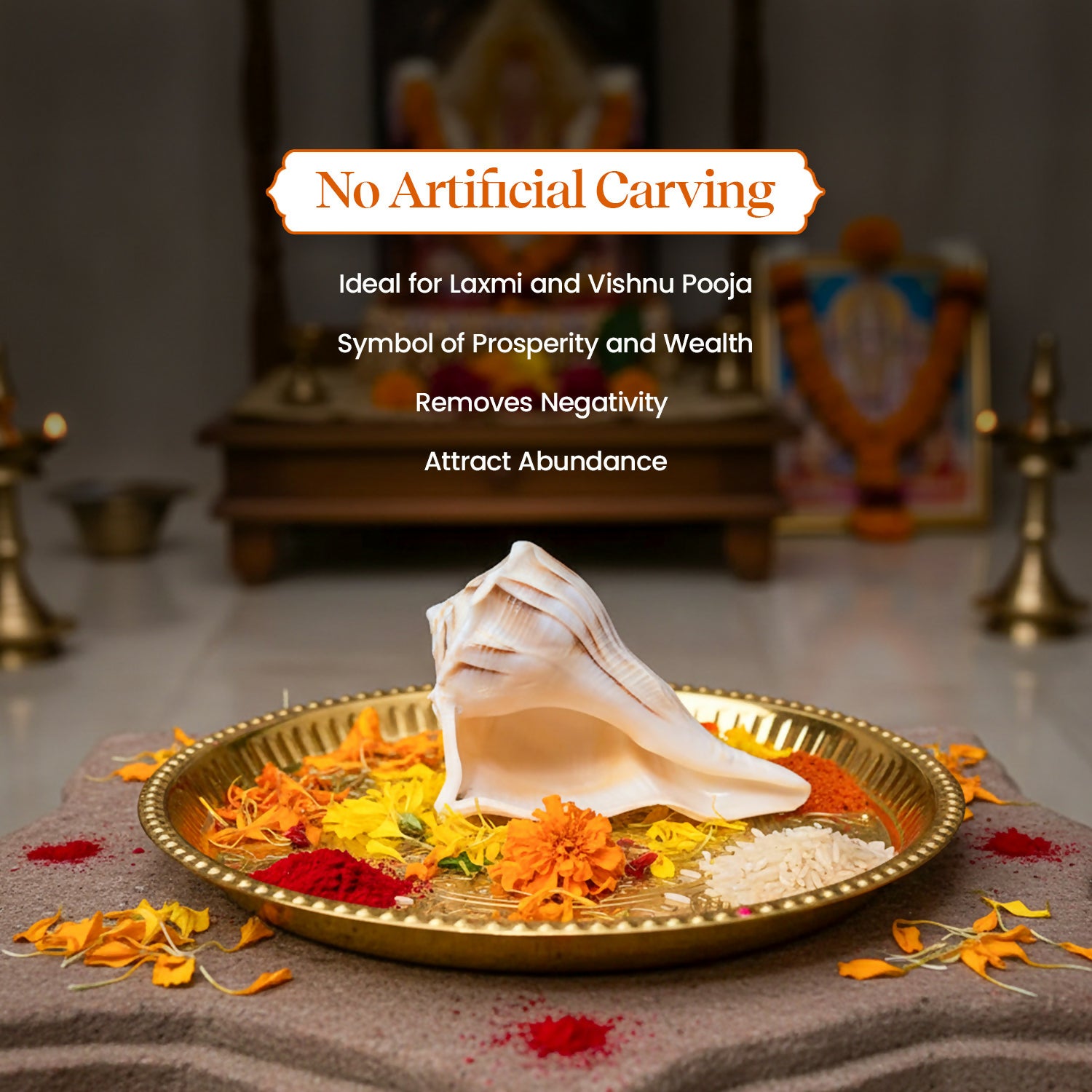 Pujashree Dakshinavarti Shankh – Sacred Hindu Conch For Puja - Dista