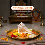 Thumbnail for Pujashree Dakshinavarti Shankh – Sacred Hindu Conch For Puja - Dista