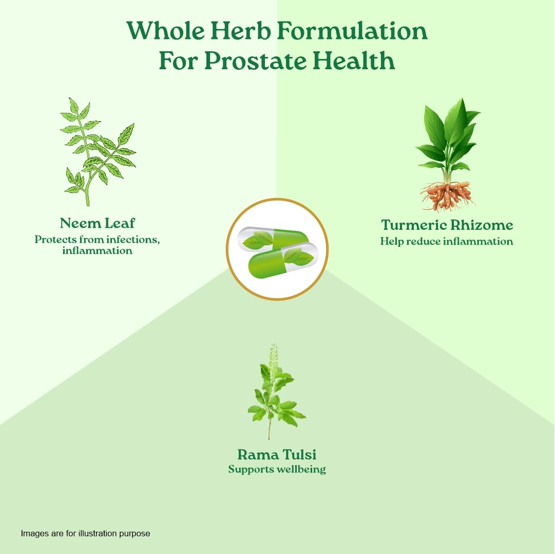 Organic India Prostate Care 60 Capsules