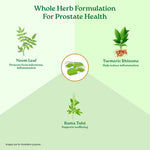 Thumbnail for Organic India Prostate Care 60 Capsules