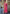 Monjolika Fashion Monjolika Fashion'S Pink Colour Organza Sarees With Blouse