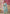 Monjolika Fashion Aqua Blue Weaving Viscose Floral Printed Classic Saree