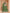Monjolika Fashion Embroidered Art Silk Green Designer Lehenga Choli