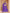 Monjolika Fashion Embroidered Art Silk Violet Designer Lehenga Choli
