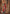 Monjolika Fashion Orange Printed Viscose Silk Designer Traditional Saree