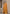 Monjolika Fashion Silk Patola Print Amber Traditional Saree