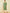 Soch Paisley Yoke Design Thread Work Straight Kurta - Distacart