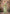 Monjolika Fashion Silk Floral Pattern Zari Work Light Green Contemporary Saree