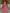 Monjolika Fashion Rani Pink Silk Embroidered Sequins Thread And Zari Work Bridal Trendy Lehenga Choli
