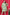 Monjolika Fashion Green Colour Rayon Floral Print Classic Co-Ord Set