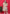 Monjolika Fashion Multicolor Rayon Floral Print Classic Co-Ord Set