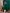 Monjolika Fashion Dark Green Maaza Cotton Hand Work With Pocket Casual Kurti
