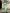 Monjolika Fashion Viscose Silk Turquoise Weaving Jaal Designer Saree
