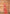Monjolika Fashion Off White Patola Print Silk Ceremonial Trendy Saree