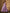 InWeave Lavender Floral Tiered Dress