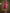 InWeave Fuchsia Ikkat Kantha Collar Flared Dress
