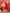 InWeave Red Mirror Work Round Neck W/S Dress