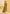 Monjolika Fashion Dark Olive Green Printed Georgette Contemporary Saree