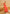 Monjolika Fashion Salmon Printed Georgette Contemporary Saree