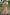 Monjolika Fashion Designer Silk Multi Color Bridal Wear Khatli Work Readymade Lehenga Choli