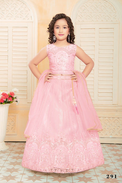 Kids Functional Designer Pink soft NetLehenga choli - Aaradhna - Distacart
