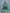 Monjolika Fashion Art Silk Embroidered Teal Designer Lehenga Choli