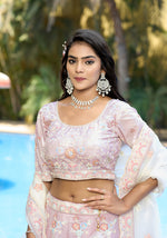 Thumbnail for Monjolika Fashion Silk Embroidered Light Pink Designer Lehenga Choli