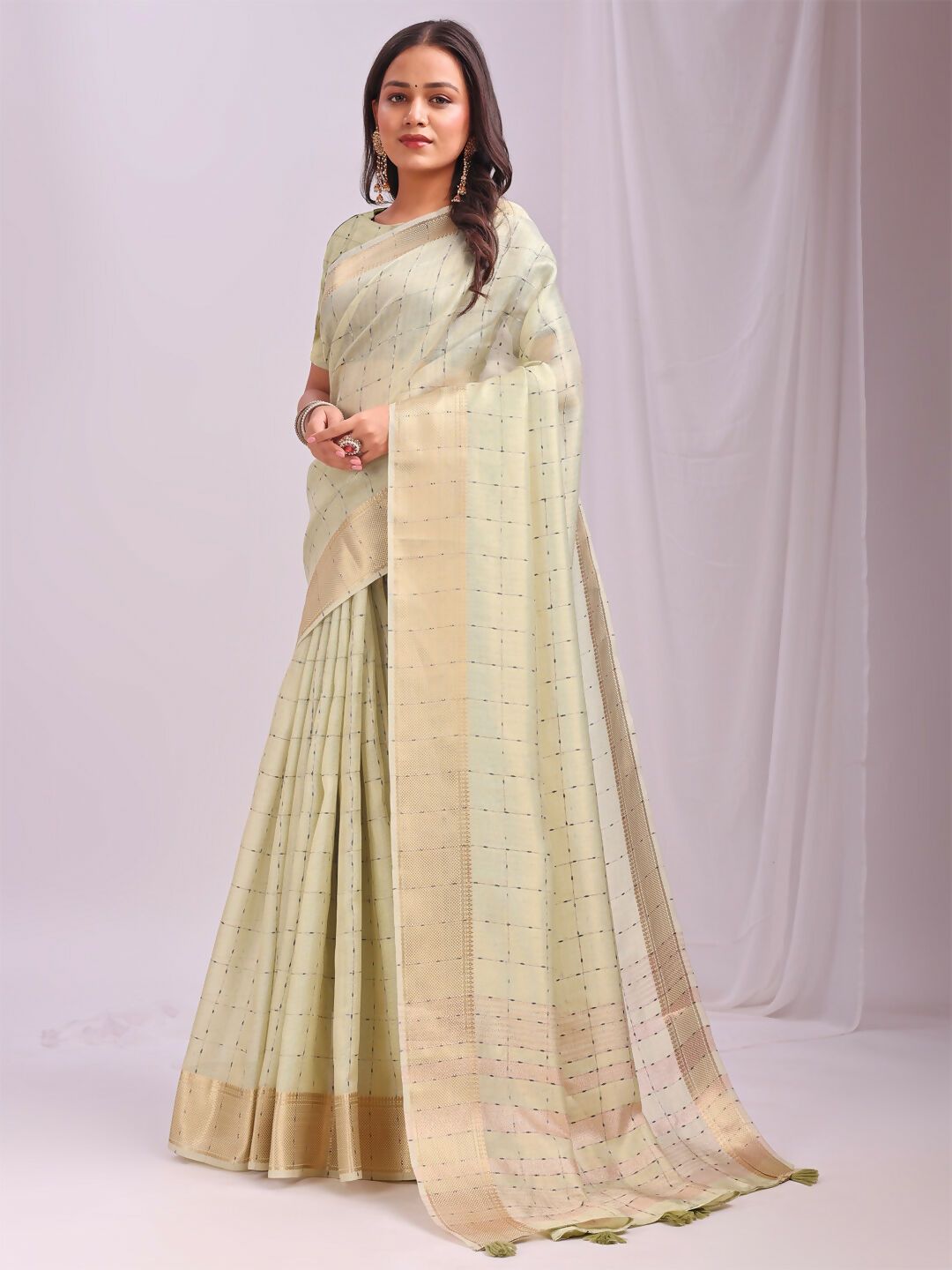 Astita Organza Light Green Saree