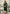 Monjolika Fashion Fancy Festive Wear Bottle Green Color Rayon Fabric Thread Embroidered Kurti