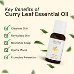 Thumbnail for Aroma Treasures Curry Leaf Pure Essential Oil - Distacart