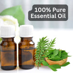 Thumbnail for Aroma Treasures Curry Leaf Pure Essential Oil - Distacart