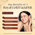 Thumbnail for Aroma Treasure Royal Gold Facial Kit For Dry Skin - Single Time - Distacart