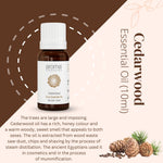 Thumbnail for Aroma Treasures Cedarwood Pure Essential Oil - Distacart