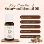 Thumbnail for Aroma Treasures Cedarwood Pure Essential Oil - Distacart