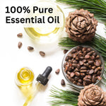 Thumbnail for Aroma Treasures Cedarwood Pure Essential Oil - Distacart