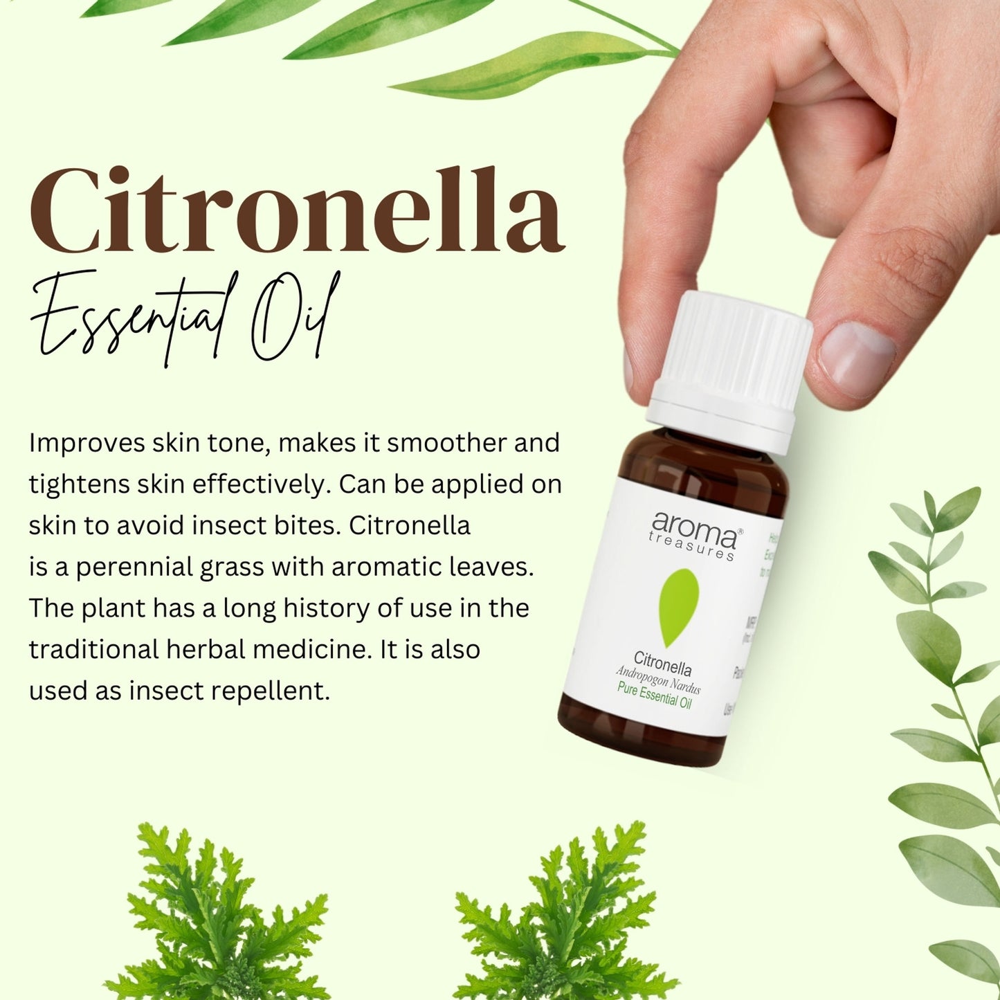 Aroma Treasures Citronella Pure Essential Oil - Distacart