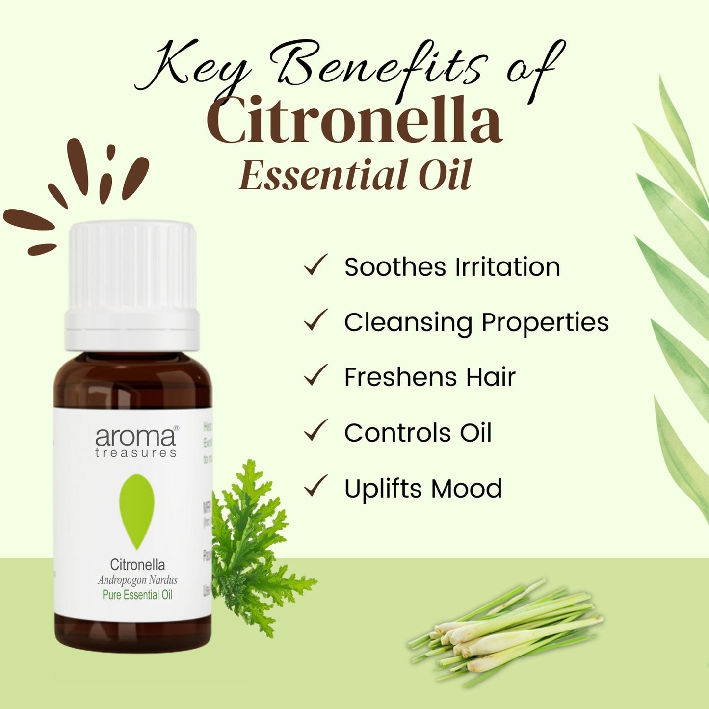 Aroma Treasures Citronella Pure Essential Oil - Distacart